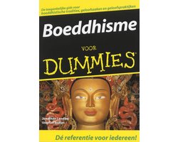 Boek-Boeddhisme Voor Dummies-tweedehands