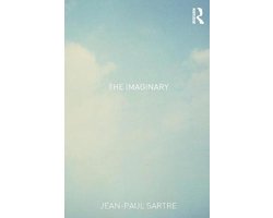 Boek-The Imaginary-tweedehands