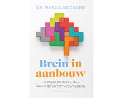 Brein in aanbouw
