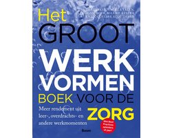 Boek-Het groot werkvormenboek voor de zorg-tweedehands