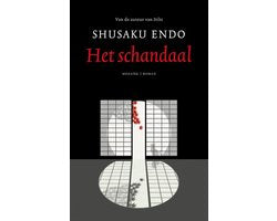 Boek-Het schandaal-tweedehands