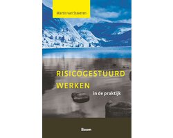 Boek-Risicogestuurd werken in de praktijk-tweedehands