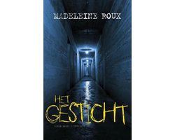 Het gesticht