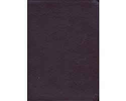 Everyday Life Bible