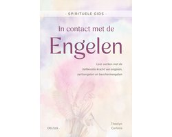 Deltas Spirituele gids in contact met de engelen 1 Boek