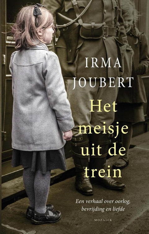 Boek-Het meisje uit de trein-tweedehands