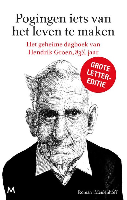 Boek-Pogingen iets van het leven te maken-tweedehands