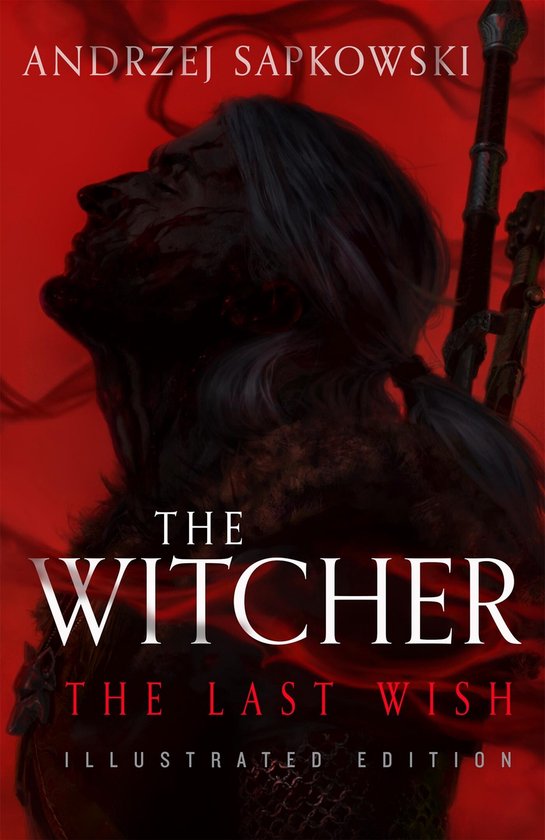 Boek-The Witcher-The Last Wish-tweedehands