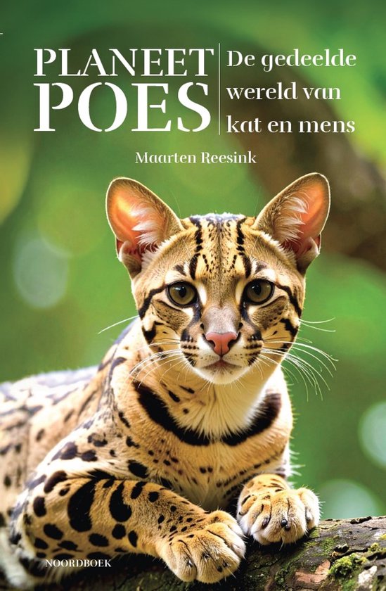 Boek-Planeet Poes-tweedehands