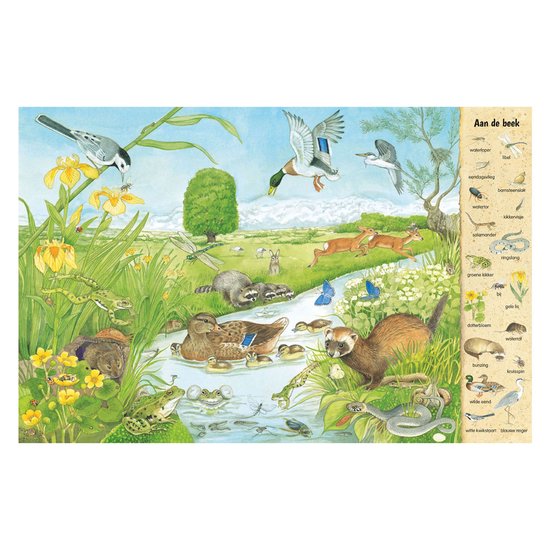 Kijk- en zoekboek - In het veld