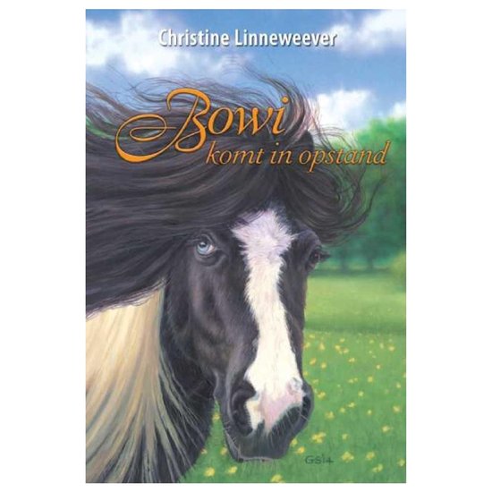 Boek-Gouden paarden - Bowi-tweedehands