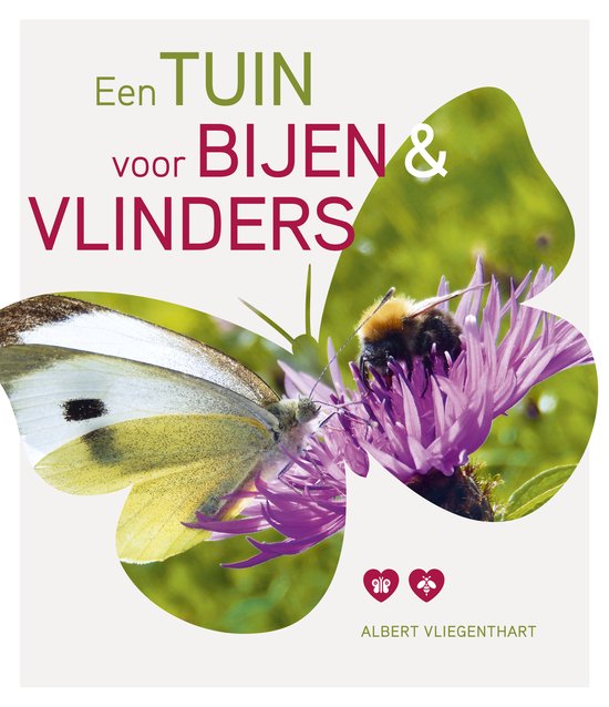 Een tuin voor bijen en vlinders