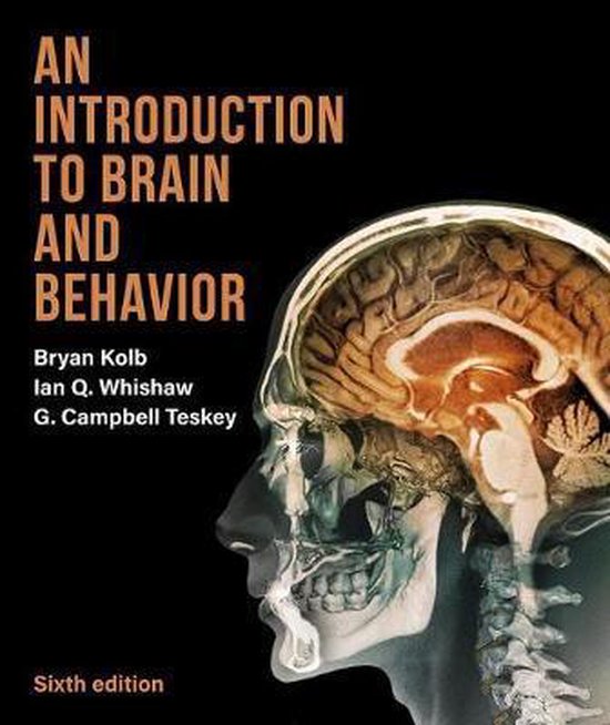 Boek-An Introduction to Brain and Behavior-tweedehands