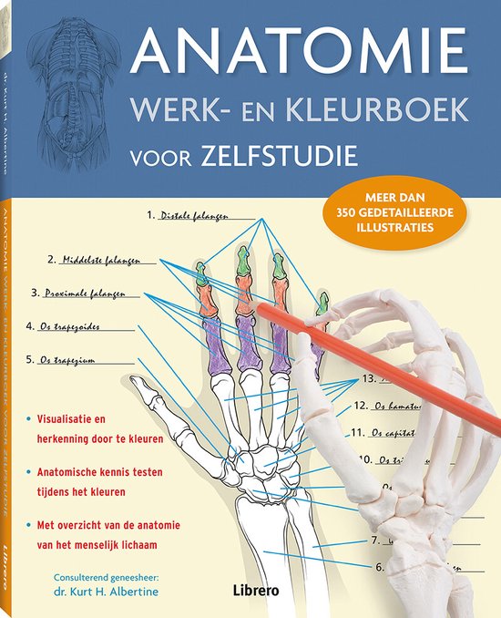 Boek-Anatomie werk en kleurboek voor zelfstudie-tweedehands