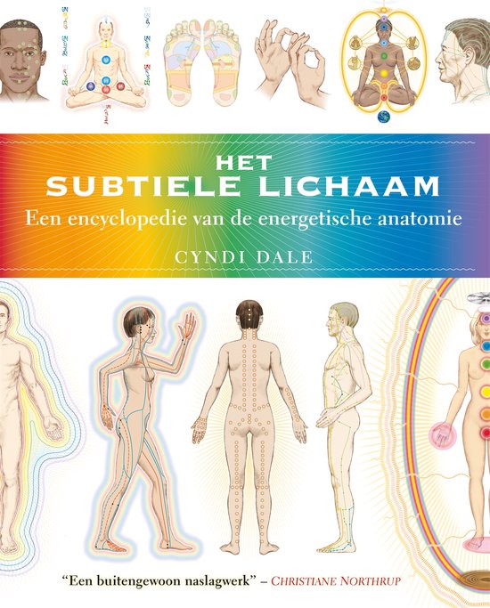 Boek-Het subtiele lichaam-tweedehands