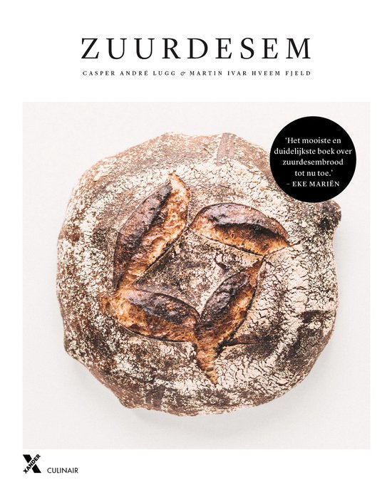 Boek-Zuurdesem-tweedehands