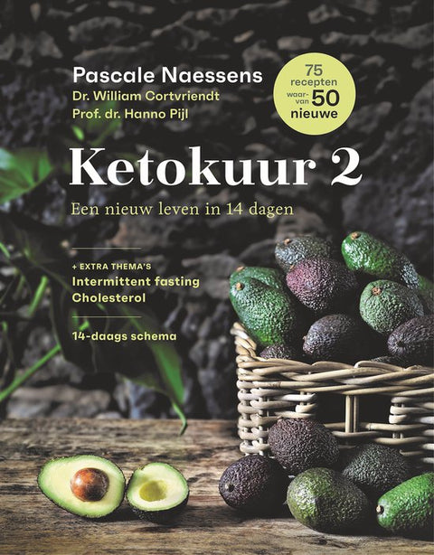 Boek-Ketokuur 2-tweedehands