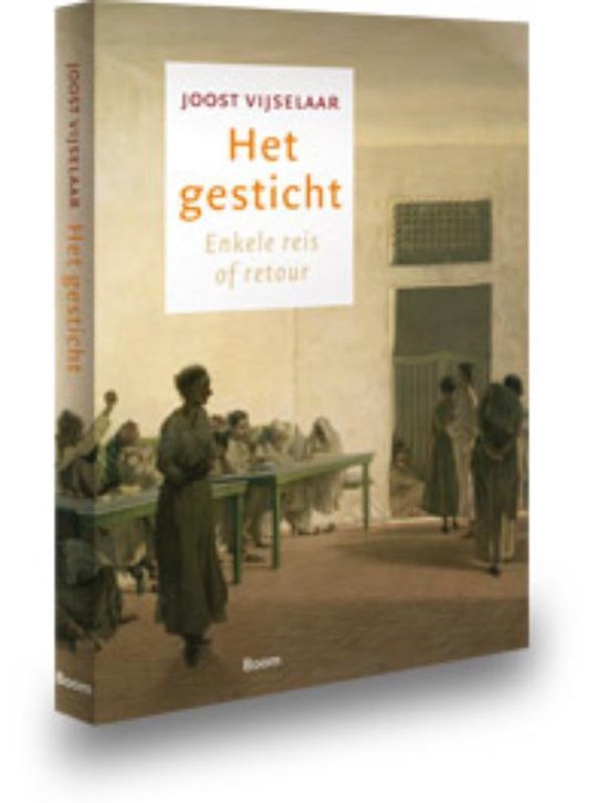 Boek-Het gesticht-tweedehands
