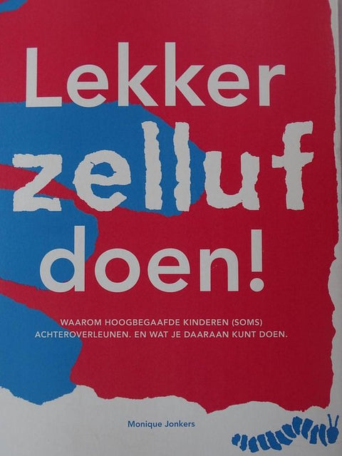 Boek-Lekker zelluf doen!-tweedehands