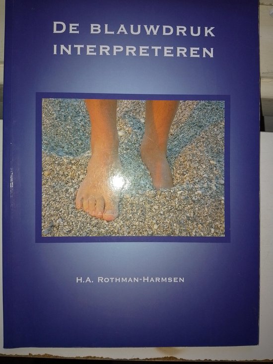 Boek-De blauwdruk interpreteren-tweedehands