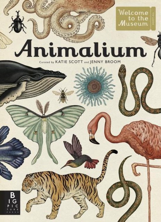 Welcome To The Museum Animalium
