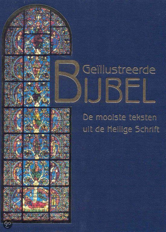 Boek-Geillustreerde Bijbel-tweedehands