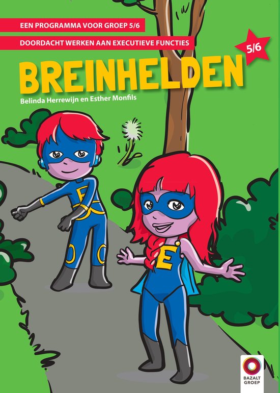 Boek-Breinhelden voor groep 5-6-tweedehands