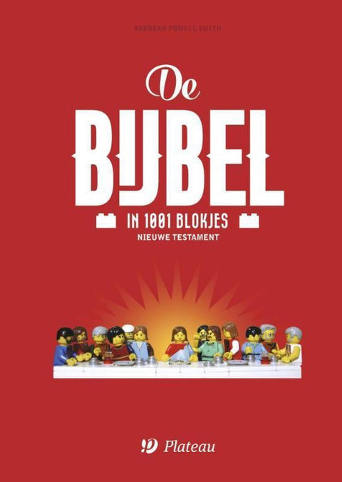 Boek-De Bijbel in 1001 blokjes-tweedehands