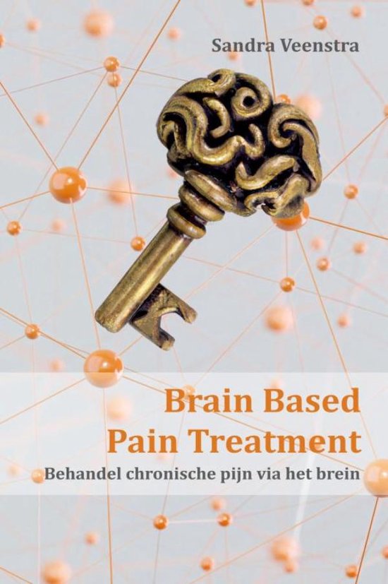Boek-Brain Based Pain Treatment-tweedehands