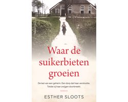 Waar de suikerbieten groeien