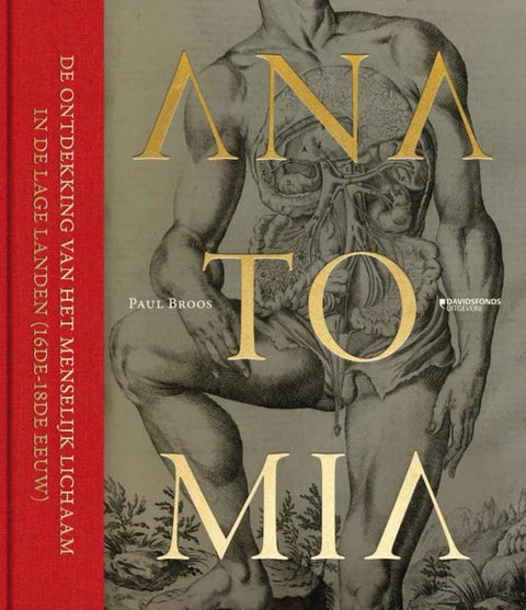 Anatomia