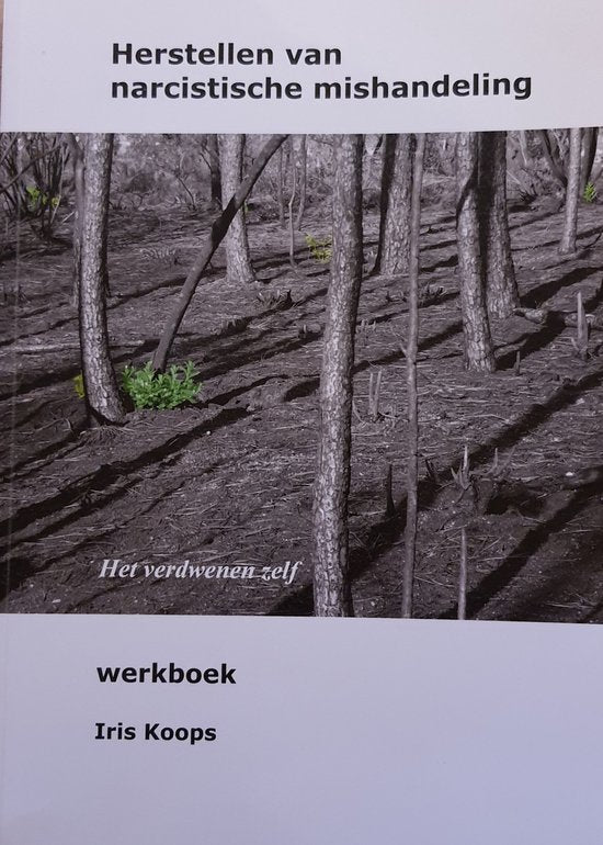 Herstellen van narcistische mishandeling - werkboek