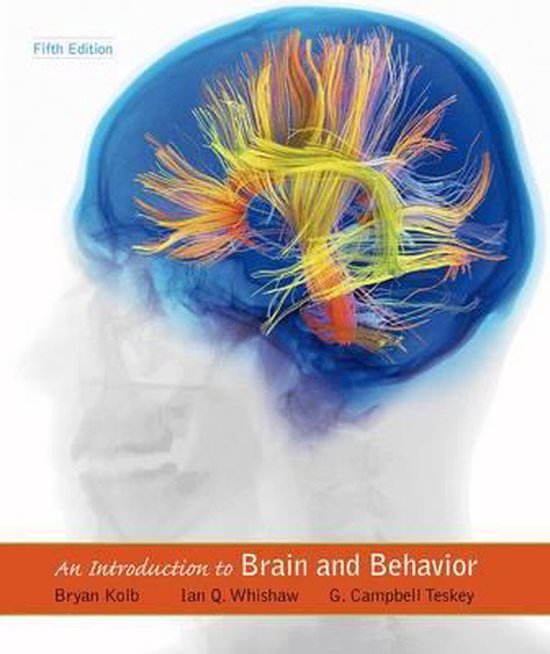 Boek-An Introduction to Brain and Behavior-tweedehands