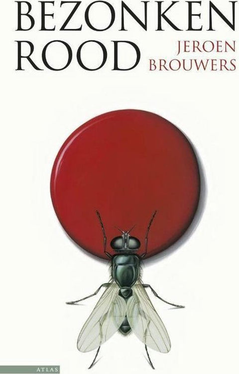 Boek-Bezonken Rood-tweedehands