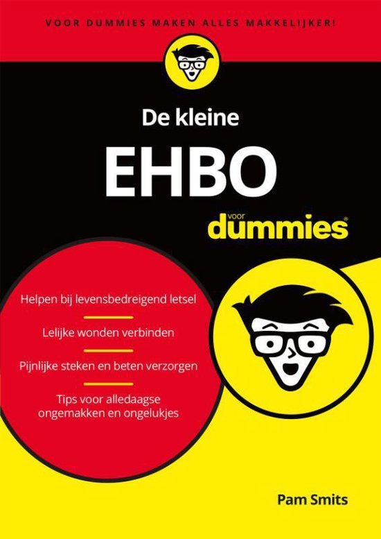 Boek-De kleine EHBO voor Dummies-tweedehands
