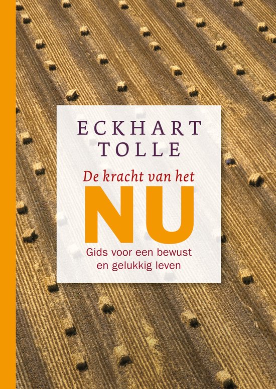 Boek-De kracht van het NU-tweedehands