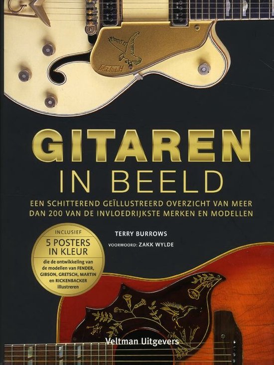 Boek-Gitaren in beeld-tweedehands