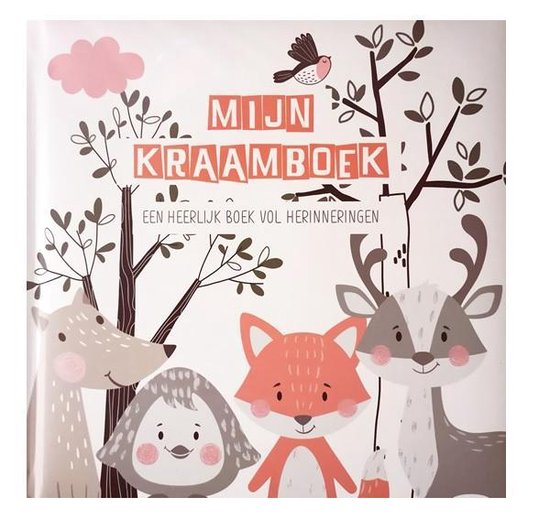 Boek-Mijn Kraamboek - Invulboek - Geboorte - Boek - Kraam Cadeau - Baby-tweedehands