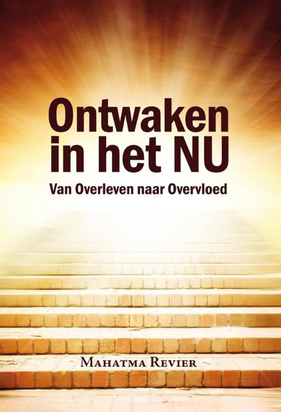 Boek-Ontwaken in het nu-tweedehands