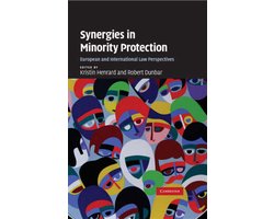 Boek-Synergies in Minority Protection-tweedehands