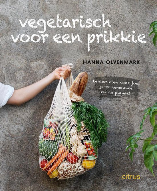 Boek-Vegetarisch voor een prikkie-tweedehands