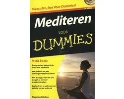 Boek-Voor Dummies - Mediteren voor Dummies-tweedehands