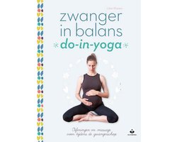 Boek-Zwanger in balans-tweedehands