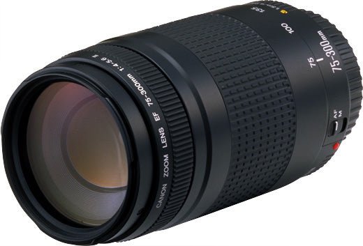 Canon-EF75-300mm f/4-5.6 II Lens Tweedehands