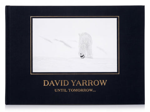 David Yarrow Until Tomorrow - voorkant
