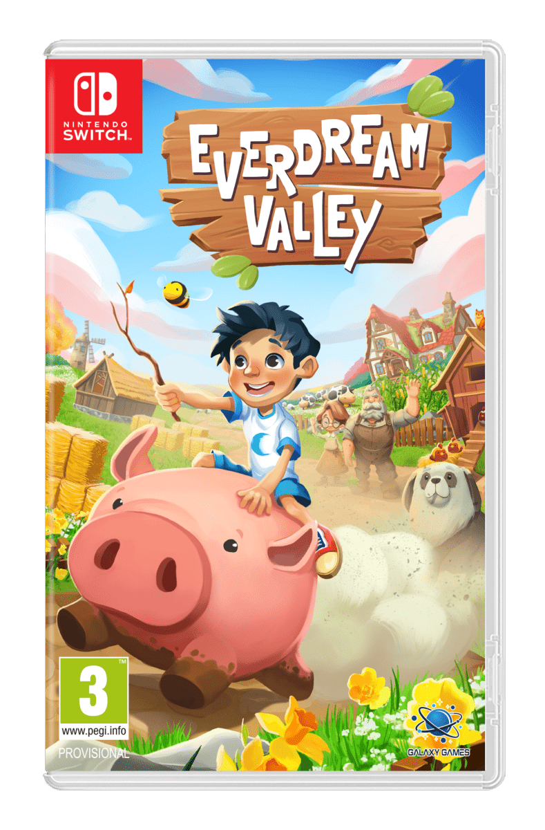 Switch-Everdream Valley Tweedehands
