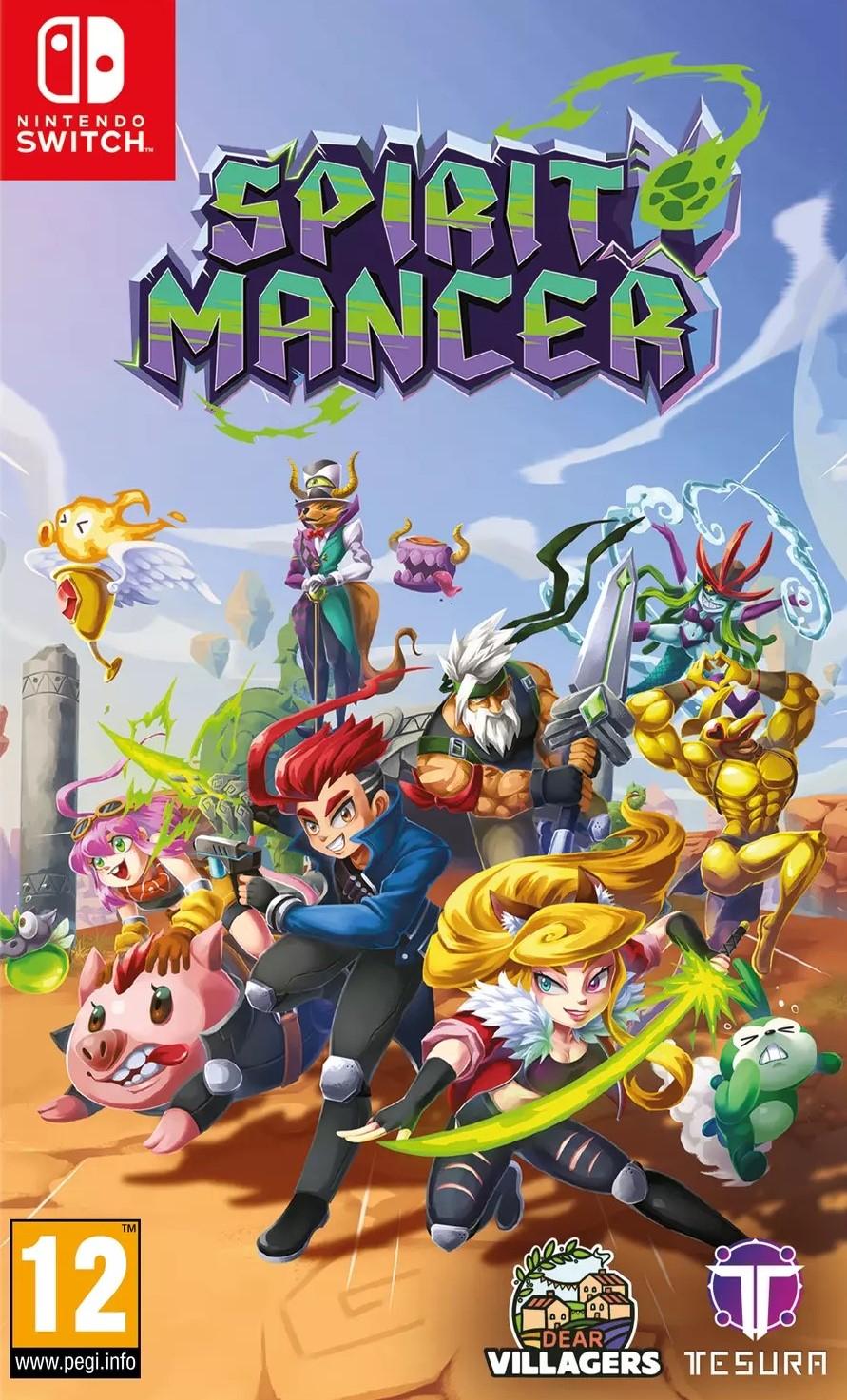 Switch-Spirit Mancer Tweedehands