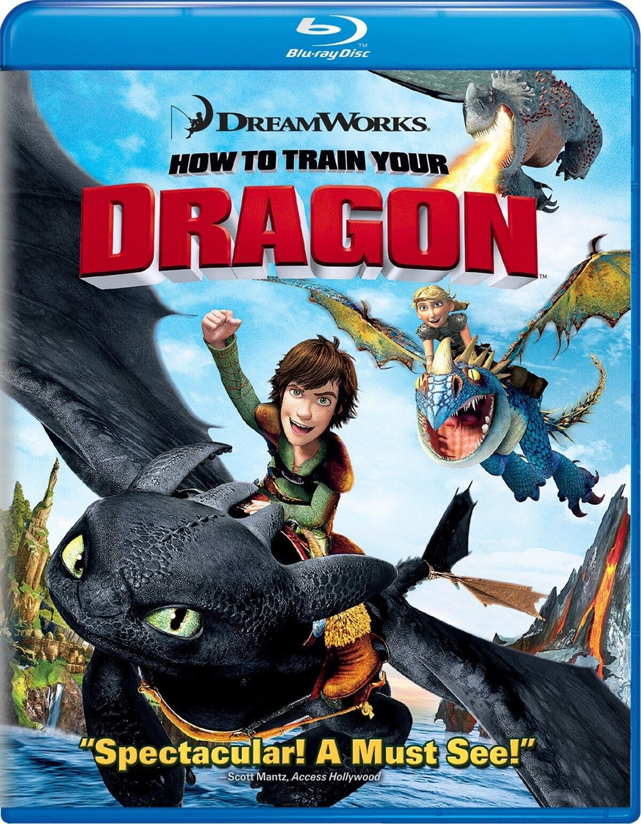 Blu-Ray-How To Train Your Dragon Tweedehands