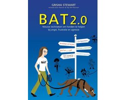 BAT 2.0