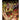 Boek-Arcimboldo, Bassano, Bruegel-tweedehands